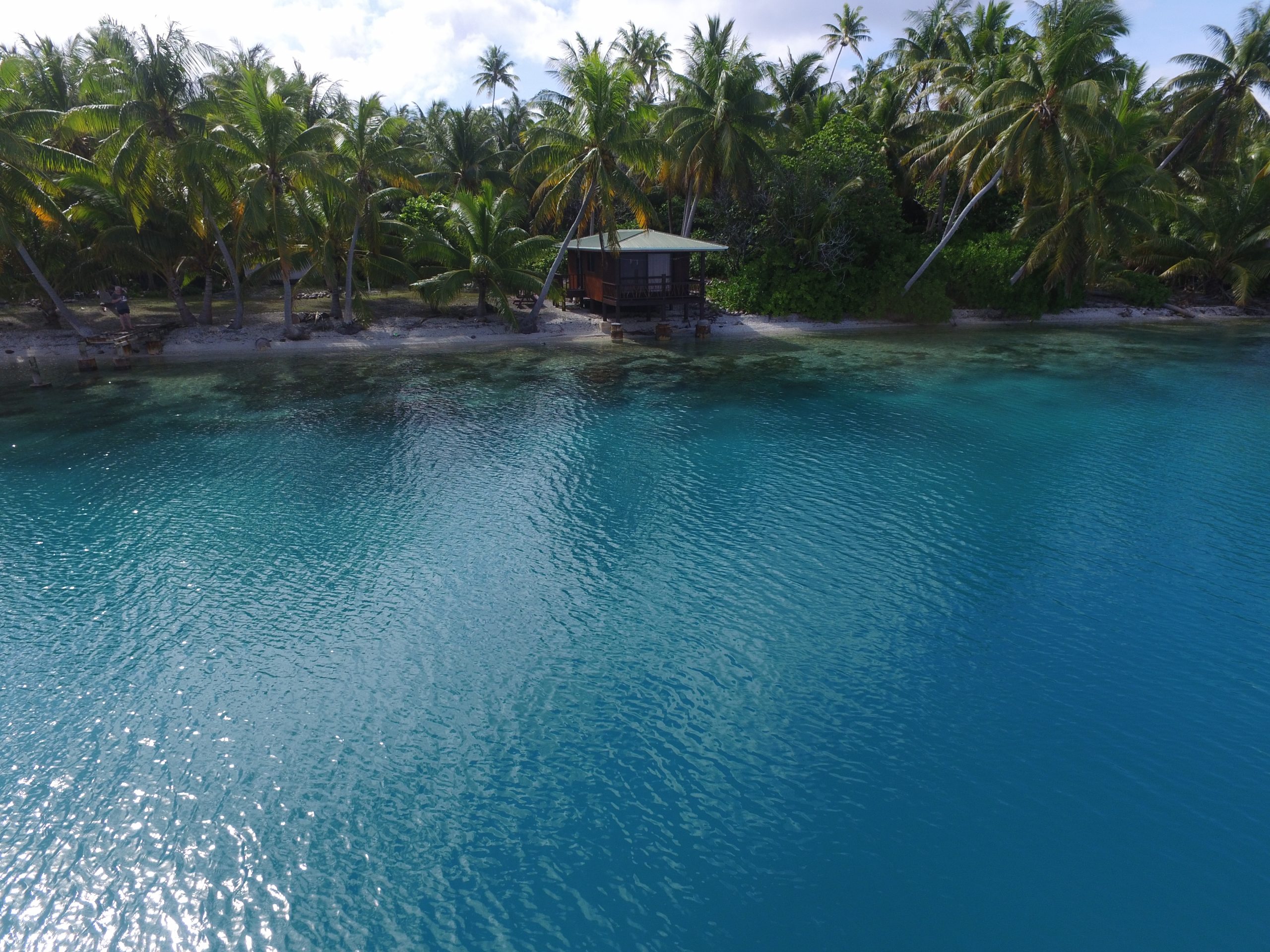 Manihiki Atoll, North Cook Islands - crystal clear turquoise lagoon with palm trees